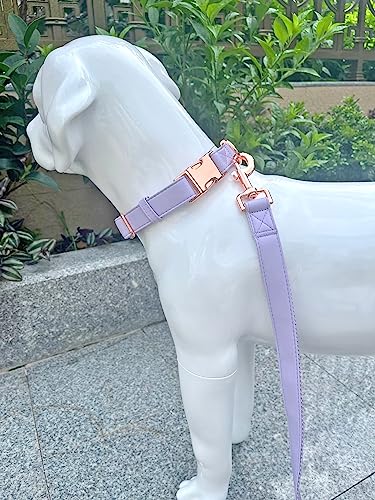 Dog Collar and Leash Set.Soft and Easy to Clean Vegan Leather with Rose Gold Metal Buckle for Small Medium Large Dogs (Light Purple, L(15.4”-24.8“) - color: Light Purple, size: L