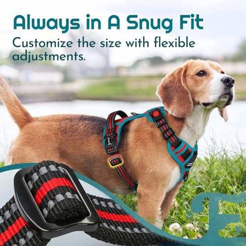 Dog Harness Small Sized, Easy Wearing with 3 Buckles, Adjustable No Pull Pet Harness with 2 Rings for Walking, No Chock Reflective Soft Padded Vest with Control Handle, Red & Teal, S - color: Red & Teal, size: Small