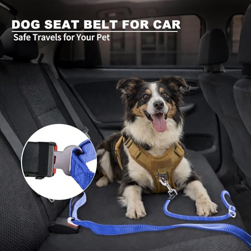 10FT Hands Free Dog Leash for Small Medium Large Dogs, Heavy Duty Reflective Dog Leash with Traffic Handle, Seat Belt Buckle & Poop Bag Holder (Navy Blue) - color: Navy Blue, size: 10FT