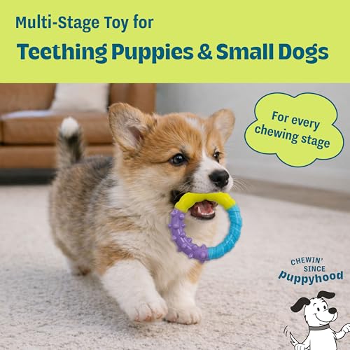 Grow-with-Me Ring Dog Chew Toy, Durable Rubber, 3 Texture Zones, Teething Puppies & Small Dogs, 4.7” - color: Ring