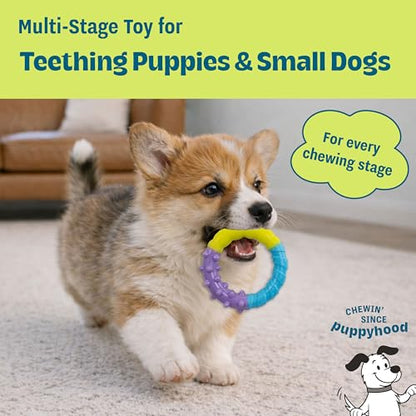 Grow-with-Me Ring Dog Chew Toy, Durable Rubber, 3 Texture Zones, Teething Puppies & Small Dogs, 4.7” - color: Ring