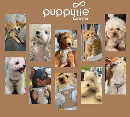 No Pull Dog Harness with Multifunction Dog Leash,Soft Adjustable No Choke Escape Proof Pet Harness Vest for Medium Dogs,Denim Mocha Brown,M - color: Pocket-Brown, size: M