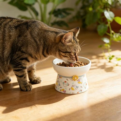 Elevated Ceramic Cat Bowls, 15°Raised Cat Food Bowl, Whisker Friendly Anti Vomiting Cats Dishes, Anti Vomiting & Protect Pet's Spine, Feeder Dish for Indoor Kitty and Small Dogs (Cat Pattern) - color: Cat pattern
