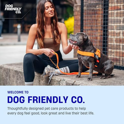Dog Friendly Co. Dog Harness | Chafe Resistant Webbing, Adjustable Neck & Chest, and Heavy Duty D-Ring | Sturdy, Comfortable, Easy to Use | Brown, Size XS - color: Brown, size: X-Small