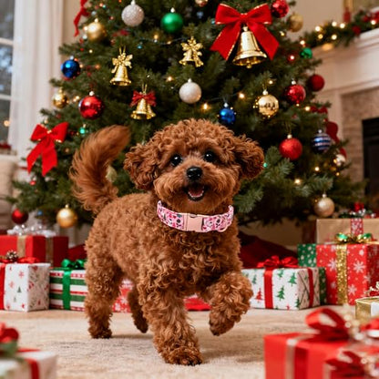 Lionet Paws Chirstmas Dog Collar, Cute Snowman Christmas Tree Dog Collars with Metal Buckle for Puppies and Cats, XS, Ho Pink Dogs Collar Neck 8-12 inches - color: Ho Xmas, size: X-Small (Pack of 1)