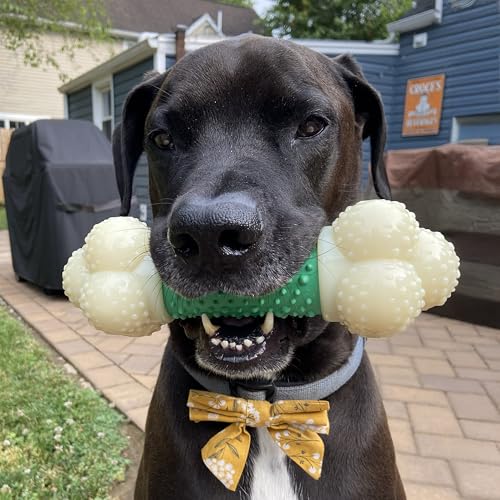 Nylabone Double Action Bone Power Chew Toy for Dogs, Dog Toys for Aggressive Chewers, Bacon Flavor, X-Large - 50+ lbs, 1 Count - size: X-Large