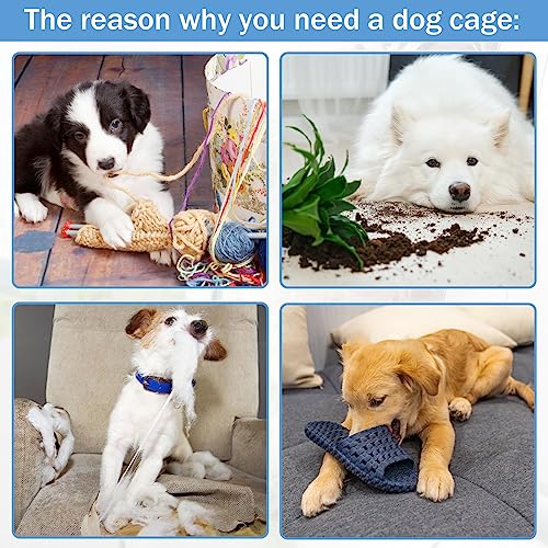 Dog Crates for Large Dogs Outdoor Indoor, Dog Cage Kennel Foldable Metal Wire Dog Crate with Leak-Proof Tray and Handle Double Door, Animal Pet Cage, 36 Inch - size: 36 INCH
