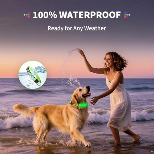 Dog Light up Collar for Night Walking - High Visibility LED Dog Collar - Rechargeable - Waterproof - Reflective - Adjustable Lighted Glow Collars(Green, Large) - color: Green, size: Large (18" - 23")