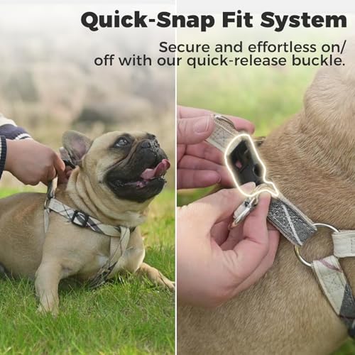 BINGPET Dog Harness Collar Leash Set,Adjustable No Pull Escape Proof Small Dog Harness,Classic Plaid Puppy Harness and Leash Set for Small Medium Large Dogs Training Easy Walk Running(Beige,S) - color: Beige Plaid, size: S(Chest Girth:14.9''-20.9'')