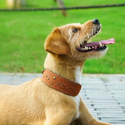 Blueberry Pet Premium Embossed Silver-Powered Freshness Microfiber Suede Leather Dog Collar in Saddle Brown - color: Saddle Brown, size: Medium