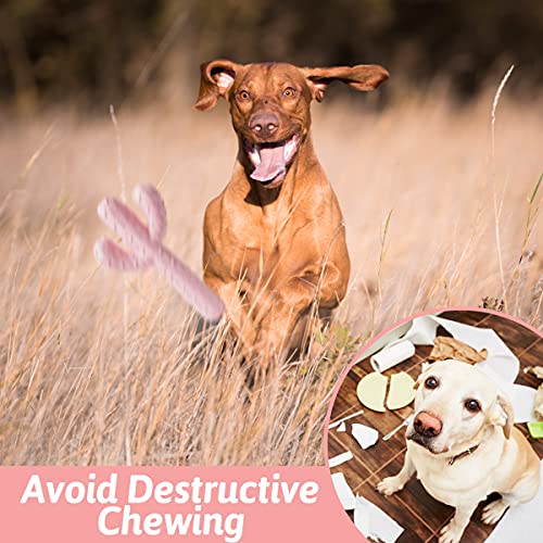 MewaJump Dog Chew Toys, Tough Rubber Dog Toys for Aggressive Chewers, Cactus Dog Toy for Training and Cleaning Teeth, Pink Cute Dog Toys for Medium/Large Dog - color: Pink Cactus