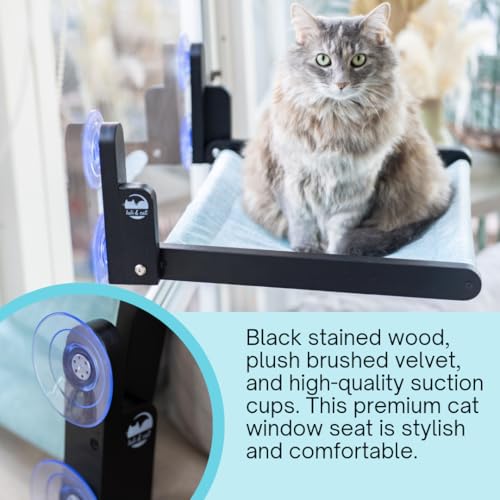 Luli & Cat Cat Window Perch: Cordless, Foldable Wooden Cat Window Hammock with Black Wood and White Fabric Seat
