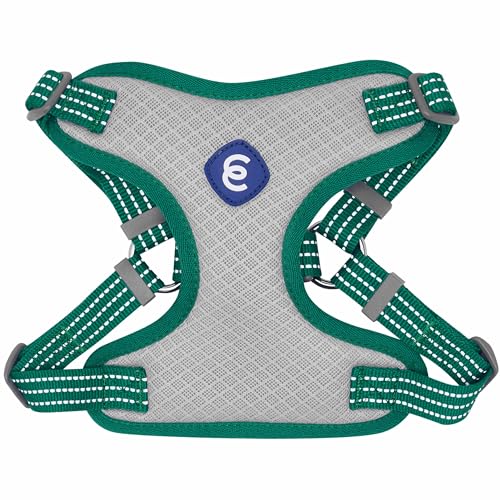 Blueberry Pet Essentials Back to Basics Reflective Dog Harness Vest, Dark Green, Large, Adjustable Harnesses for Dogs - color: Dark Green, size: Large (Pack of 1)