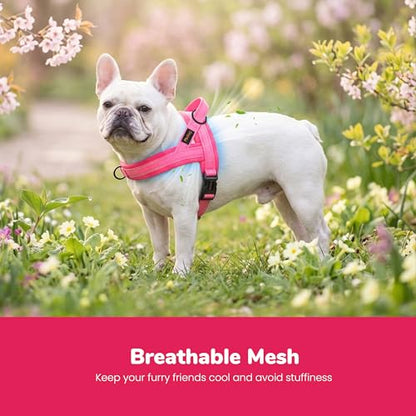 Didog No Pull Dog Harness with Soft Mesh Padded,Reflective & Quick Fit Light Weight Dog Strap Vest Harness,Easy for Walking Training (S:Chest 18-22", Pink) - color: Pink, size: S: Chest 18-22", Fit 19-29 lbs