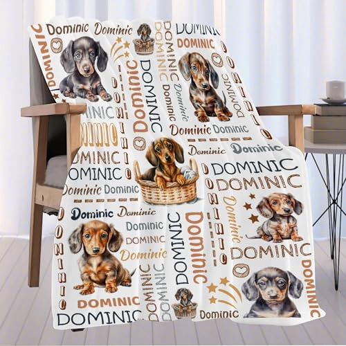 Aniruddha Custom Dachshund Personalized Baby Blanket,Custom Baby Blankets with Name for Kids,Toddler Kids Nursery,90x120 Family Size - color: Custom Baby Dachshund1, size: 90"x120"-Family Size