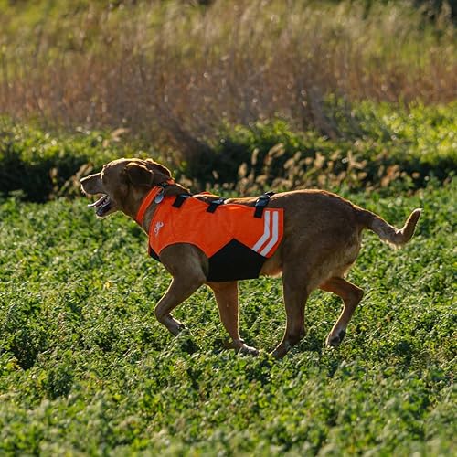 Browning Pet Vests, Hi Vis Safety Vests for Dogs, Saftey Orange, Large, Full Coverage - size: Large, style: Full Coverage Vest