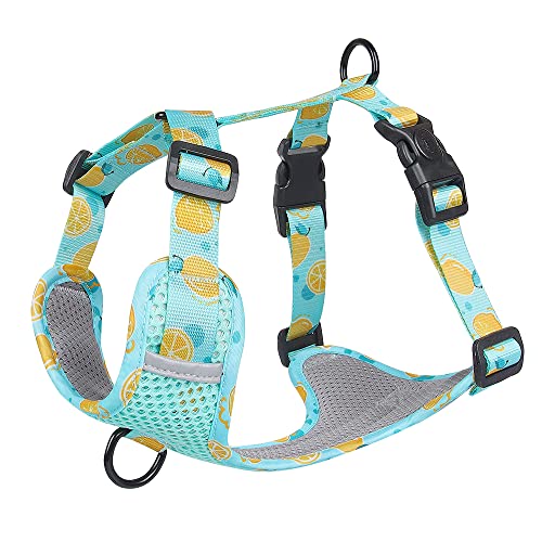 Dog Breathable Harness for Summer, No Pull Adjustable D-Ring Reflective Harness Webbing Walking Harness for Small Meduim Large Dogs (Lake Blue, M) - color: Lake Blue, size: M