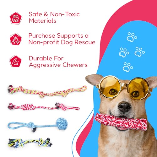 Pacific Pups Products Dog Rope Toys for Medium Dogs 11 Pack (2 Pack) - size: 22 Pack