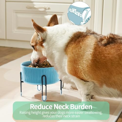 32 OZ Raised Dog Cat Bowls with Elevated Metal Stand, 6.5 Inch Ceramic Round Pet Food and Water Feeder Bowl Dish for Cats & Dogs, White & Blue, Set of 2 - color: White & Blue