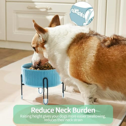 32 OZ Raised Dog Cat Bowls with Elevated Metal Stand, 6.5 Inch Ceramic Round Pet Food and Water Feeder Bowl Dish for Cats & Dogs, White & Blue, Set of 2 - color: White & Blue