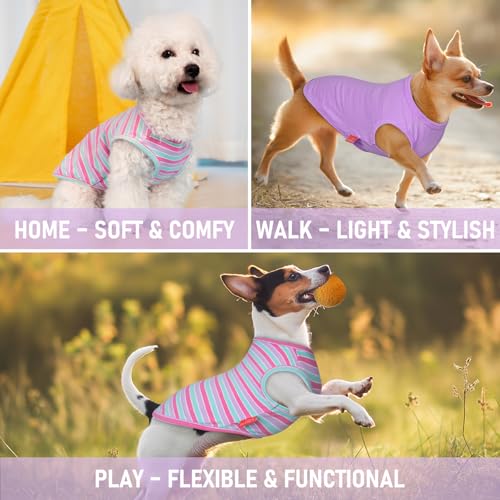 KYEESE 2Pack Dog Shirt, Soft Striped Dogs T Shirts, Lightweight Doggie Tank Top Cat Clothes, Sleeveless Dog Shirt for Small Dogs, Stretchy Pet Vest, Purple+Blue Striped, Medium - color: 04# 2Pack (Purple+Purple Striped), size: Medium (7-13lbs)