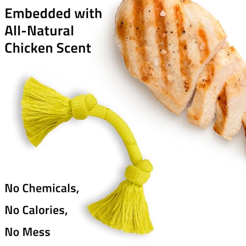 Playology Dog Toys | Dri-Tech Rope Toy Tug of War Rope for Aggressive Chewers | Medium Chicken Scented Toy - Easy to Clean and Made from Non Toxic Materials - size: Medium, style: Chicken