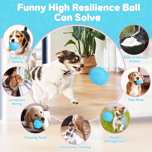 8 Pack Luxury Puppy Toys for Teething Small Dogs, Puppy Chew Toys with Squeaky Dog Toys, Balls and Rope Dog Chew Toys, Dog Toys to Keep Them Busy (Blue, 8-Pack) - color: Blue, 8-pack