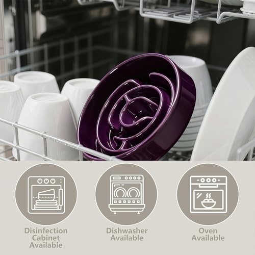 Ceramic Slow Feeder Dog Bowl,1.5 Cups Pet Slow Feeder for Small and Medium Breed,Puzzle Dog Food Dish,Anti-Gulping,Stop Bloat,Preventing Choking(Purple) - color: Purple