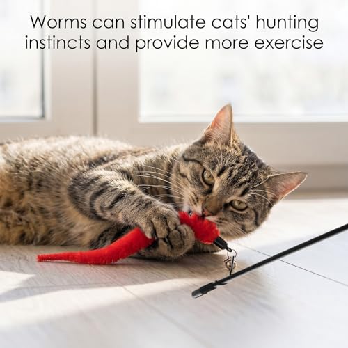 10 PCS Cat Worm Toy Including Worm & Little Fish, Interactive Cat Wand Toy Retractable Cats Wand Attachment Fuzzy Worms Toys Cats Fishing Pole Toys with Wands Replacement Rope for Play Exercise