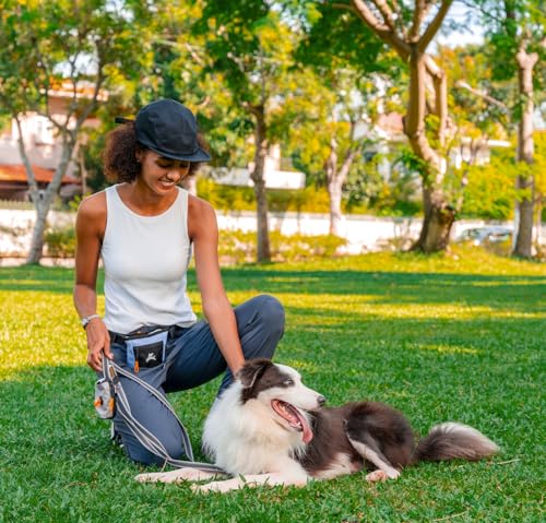 OllyDog Goodie Treat Bag, Dog Treat Pouch, Waist Belt Clip for Hands-Free Training, Magnetic Closure, Dog Training and Behavior Aids, Three Ways to Wear (Blue Heron) - color: Blue Heron