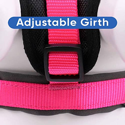 Pawtitas Reflective Padded Dog Harness for Small Dogs – Adjustable Puppy Step-in Vest | Fits Chest 18–22 in | No Pull Personalized Training Harness | S | Pink - color: Pink, size: Personalized Small (Pack of 1)