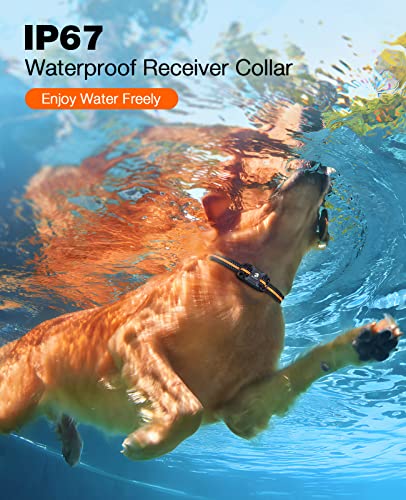 Bousnic Dog Shock Collar - 3300Ft Dog Training Collar with Remote for 5-120lbs Small Medium Large Dogs Rechargeable Waterproof e Collar with Beep (1-8), Vibration(1-16), Safe Shock(1-99) (Orange) - color: Orange