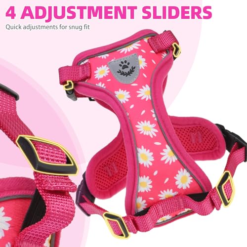 PUPTECK Cat Harness and Leash Set Escape Proof Reflective Cat Walking Harness Adjustable Soft Breathable Mesh Vest for Small Pets, Fuchsia Dasiy, S - color: Fuchsia Daisy, size: S (NECK 9.5"-11", CHEST 13"-16")