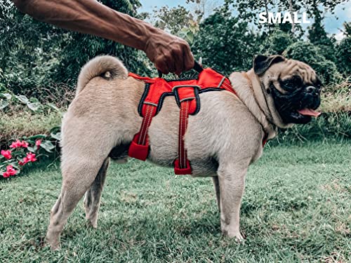 Tuff Pupper Tracker No Escape Dog Harness, Dual Attachment Points, Reflective 3M Stitching, XS - XL, March Red - color: March Red, size: Small