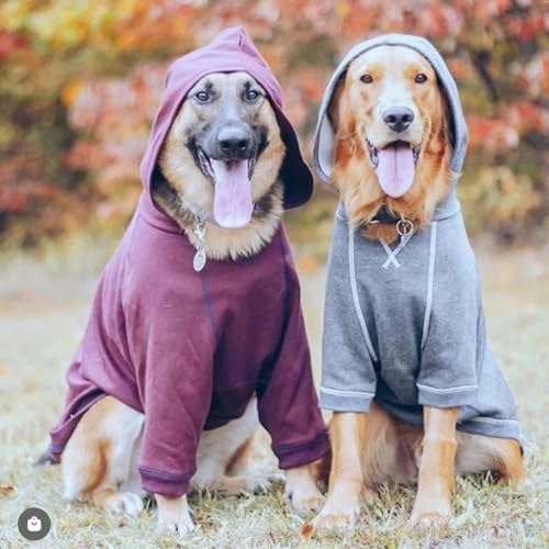 Blueberry Pet Essentials Hoodie – 26″ Cotton‑Blend Sweatshirt with Hood, Alaskan Blue, Machine‑Washable Dog Jersey - color: Dog Hoodie - Alaskan Blue, size: 26 inch (Pack of 1)