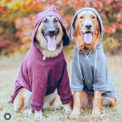 Blueberry Pet Essentials Soft & Comfy Better Basic Cotton Blend Dog Hoodie Sweatshirt in Charcoal Grey, Back Length 18", Pack of 1 Jacket for Dogs - color: Dog Hoodie - Charcoal Grey, size: 18 inch (Pack of 1)