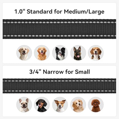 Joytale Dog Leash, 4 FT Double-Sided Reflective, Padded Handle Nylon Heavy Duty Leashes for Small Dogs Walking, Black - color: Black, size: 4 ft Narrow