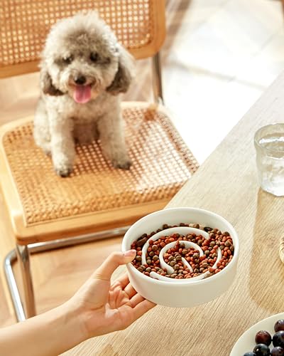 Ceramic Slow Feeder Dog Bowls, 0.6 Cup Slow Feeder for Small Dogs, Puzzle Maze Bowl, Prevents Choking, 6in, White - color: White, size: 6 Inches