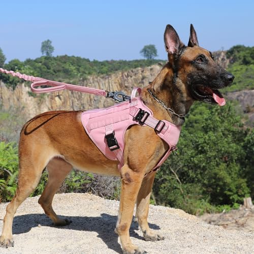 ICEFANG Tactical Dog Harness,Large Size, 2X Metal Buckle,Working Dog MOLLE Vest with Handle,No Pulling Front Leash Clip,Hook and Loop Panel (Pink, L (Pack of 1)) - color: Pink, size: Large (Pack of 1)