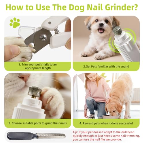2 in 1 Dog Nail Clippers and Grinder with 2 LED Light, Cat Nail Trimmer with Safety Guard, Avoid Overcutting & Splashing, Painless Quiet Pet Nail File, Professional Grooming Tool for Large Small Pets