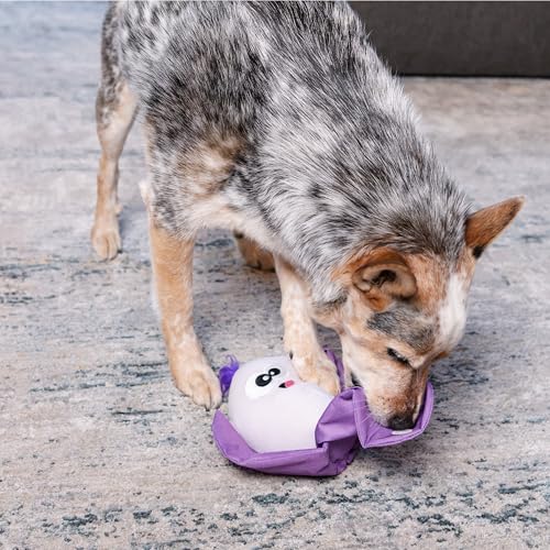 Outward Hound by Nina Ottosson Hide N' Find Interactive Plush Dog Puzzle, Durable Dog Toy, Plush Enrichment Toys, Cauliflower, Purple - color: Hide N' Find Cauliflower