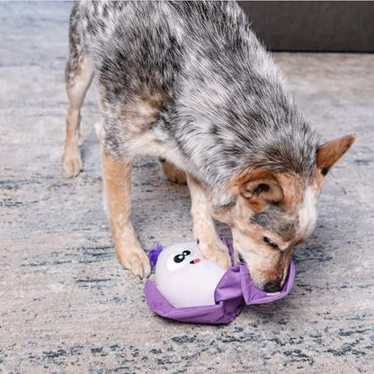 Outward Hound by Nina Ottosson Hide N' Find Interactive Plush Dog Puzzle, Durable Dog Toy, Plush Enrichment Toys, Cauliflower, Purple - color: Hide N' Find Cauliflower