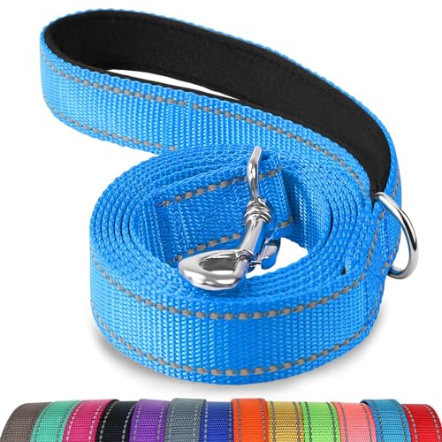 Joytale Dog Leash, 4 FT Double-Sided Reflective, Padded Handle Nylon Heavy Duty Leashes for Small Dogs Walking, SkyBlue - color: SkyBlue, size: 4 ft Narrow