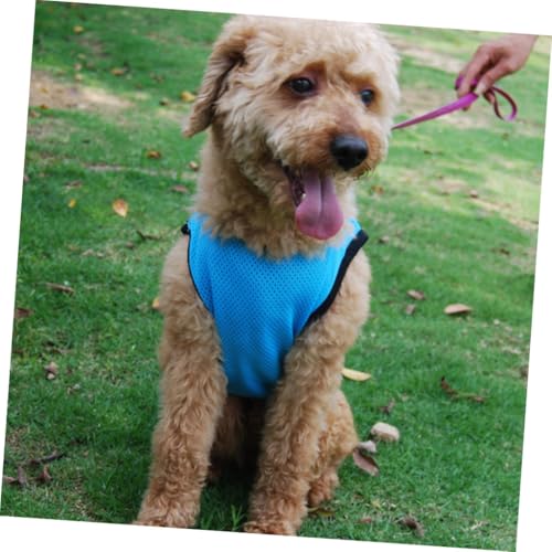 Toddmomy Pet Cooling Vest Mesh Sleeveless Dog Shirt Blue M Breathable Puppy Clothes Lightweight Pet Apparel for Summer Outdoors