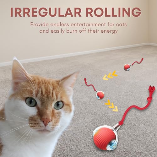 Interactive Cat Toys for Indoor Cats, 360° Automatic Moving Cat Ball, Rechargeable Rolling Ball, Toys for Indoor Interactive Kitten and Dog, Red