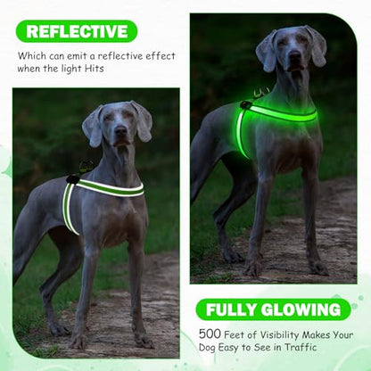 Light Up Dog Harness LED USB Rechargeable Lighted for Night Walking Adjustable Illuminated and Reflective Vest for Small Medium Large Dogs (Green, XS)
