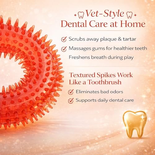 Squeaky Spiky Dog Ring Toy for Teeth Cleaning & Gum Massage 4.9 Inch Medium Large Dogs Red | Spiny TPR Rubber Chew Toy for Fetch Play Interactive Bouncy Dental Ring Durable BPA Free Nontoxic Floats - size: Red Ring - 1 Pack