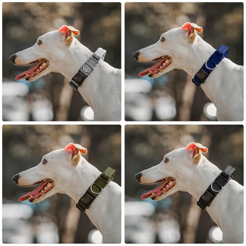 OneTigris Tough Dog Collars, Tactical Dog Collar with Handle, Milltary Adjustable Dog Collar with Heavy Duty Metal Buckle for Training (Black, S) - color: Black, size: S