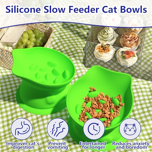 Slow Feed Cat Bowl, Elevated Cat Food Dish with Tilted Design, Dual-Use for Dry and Wet Food, Anti-Vomit, Anti-Choking, Easy to Clean - color: Green, size: Big