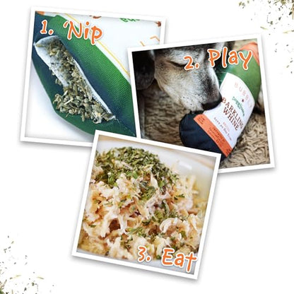 Doggijuana Refillable Juananip Toy Bundle | Barkling Whine Bundle | Funny Dog Toy Plush with Catnip and Refill | Calming Aid for Dogs | Interactive Chew Toy for Play - style: Barkling Whine